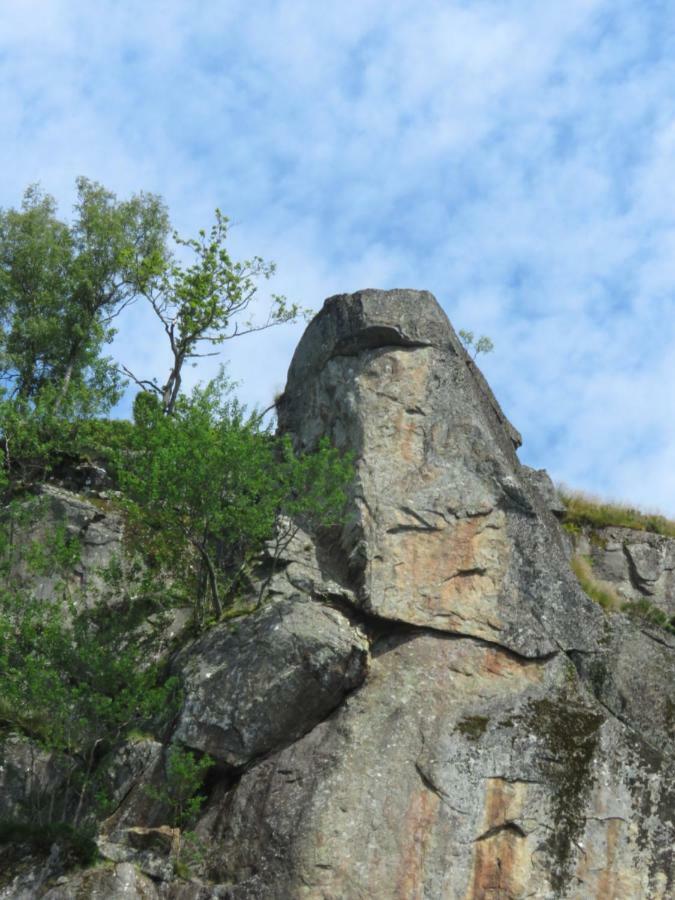 Ovstefjellsa Gard &Aktivitet Senter Hotel Flekkefjord Ngoại thất bức ảnh